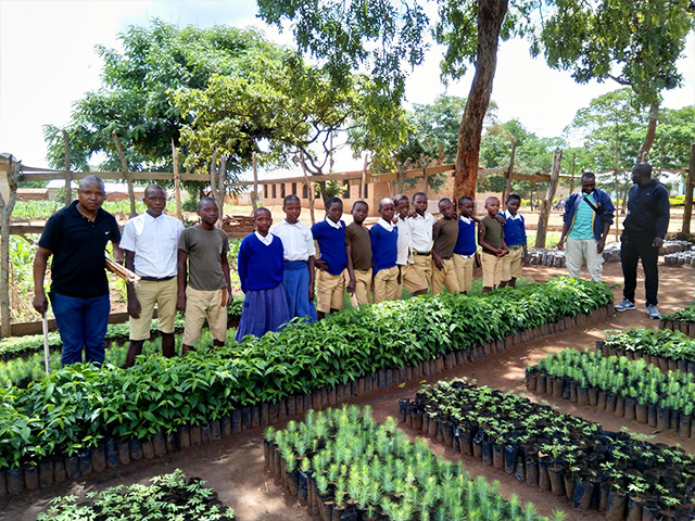 Tree nursery in Tanzania