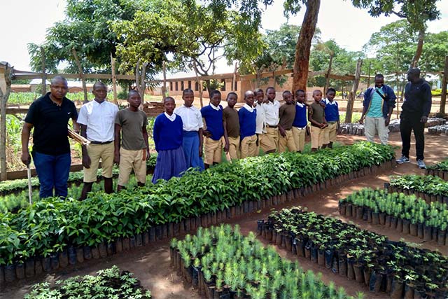 Planting trees in school in Tanzania.